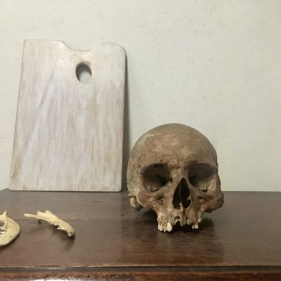 Human skull | Kim van der Horst